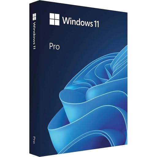 Picture of Windows 11 Professional Retail Licensing